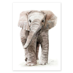 poster_elefant