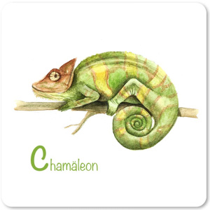 chamaeleon