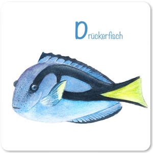 drueckerfisch
