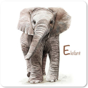 elefant