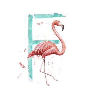 f_flamingo2