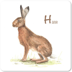 hase