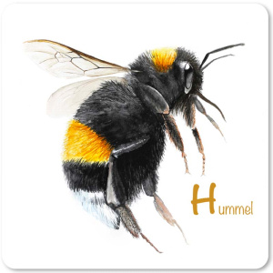 hummel