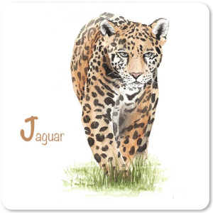 jaguar