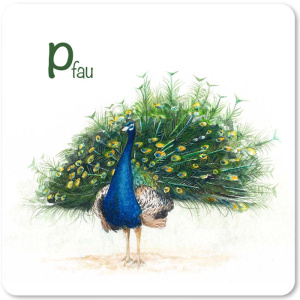 pfau