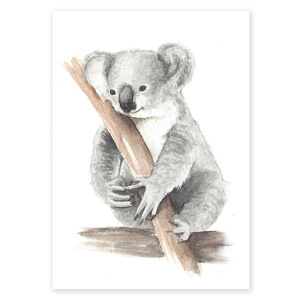 poster_koala