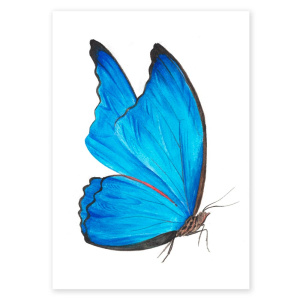 poster_schmetterling_blau