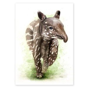 poster_tapir
