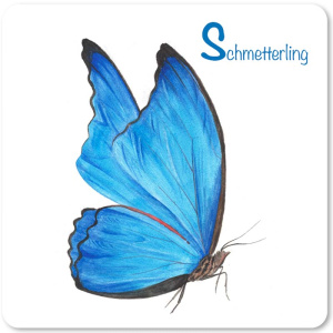 schmetterling2