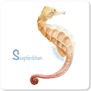 seepferdchen