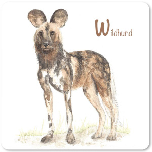 wildhund