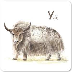 yak