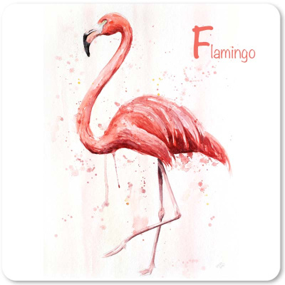 flamingo