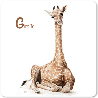 giraffe