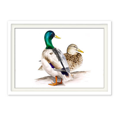 poster_enten02