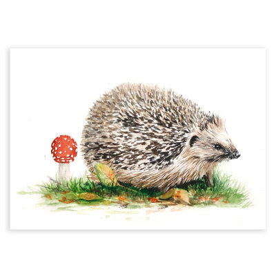 poster_igel