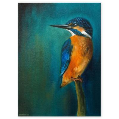 Eisvogel